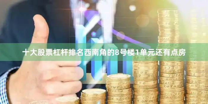 十大股票杠杆排名西南角的8号楼1单元还有点房